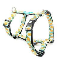 Max&Molly H - Pineapple Harness - spalvingi šunų ir šuniukų pakinktai, reguliuojami