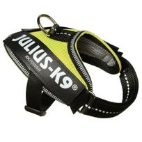 Julius K9 IDC Powair petnešos Neon - lengvos ir kvėpuojančios šuns petnešos, neoninė geltona