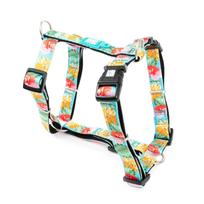 Max&Molly H - Exotique Harness - spalvingi reguliuojami šunų ir šuniukų pakinktai