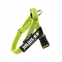 Julius - K9 Color & Gray Diržas Pakinktai Neon - šuns pakinktai, neoniniai