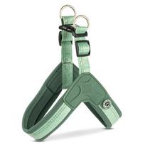 Max&Molly Q - Fit Harness Matrix 2.0 Jade - lengvi šunų pakinktai, su QR identifikatoriumi