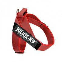 Julius - K9 IDC Color & Gray diržinis pakinktai - šunų pakinktai, diržiniai pakinktai