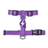 Dashi Solid Back Harness - reguliuojami apsauginiai diržai šunims