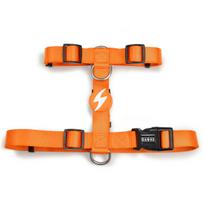 Dashi Solid Back Harness - reguliuojami apsauginiai diržai šunims