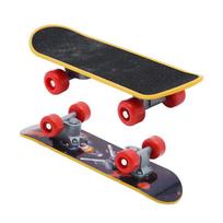 Bird Toys Funny Parrot Mini Skateboard Toy Birds Training Skateboard For Budgies Parakeet Growth Toy Pet Toy Bird Accessories 1pc