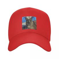 Punk Unisex Big Floppa Funny Meme Baseball Cap Adult Caracal Cat Adjustable Dad Hat Unisex Women Sports Snapback Hats Baseball Cap