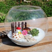 1111111111111111111111111111111111111111111111111111 Glass Vase Succulent Plant Terrarium Container Flower Pots A