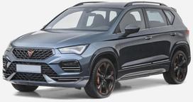 Seat Ateca - Chromuotos Šoninių Durų Juostelės