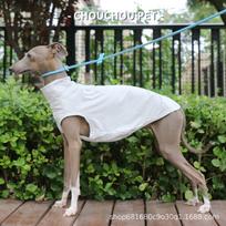 Greitai džiūstanti vėsinanti apsauginė nuo saulės liemenė Italian Greyhound, kvėpuojantis vasarinis plonas marškinėlis Bedlington Whippet mažiesiems šunims M šviesiai pilka spalva