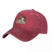 Sad Cat Thumbs Up Baseball Cap Luxury Cap Bobble Hat WomenS Hats UnisexS Adjustable