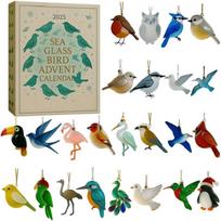 Sea Glass Bird Advent Calendar 2026 Mystery Box with Handcrafted Sea Glass Ornaments Christmas Hanging Ornaments for Girls Boys Advent Calendar