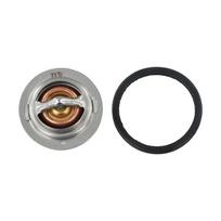 Thermostat WGasket 6653948 Compatible with For Bobcat 553 753 763 773 7753 S160 S175 S185 T190 Hydraulic Loaders China Mainland
