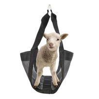 Calf Sling For Weighing Nylon Weight Scale Slings For Small Animals Livestock Lifting Straps Comfortable Halter For Rabbits China Mainland