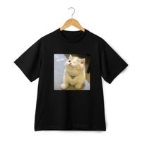 Adorable Kitten Moments Series T-Shirt Mens Womens Tees Top - Trendy Unisex Tee Streetwear 3XL
