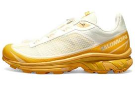 Salomon XT-6 FT Vanilla Ice Hazelnut 43
