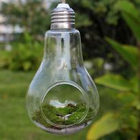 Plant Glass Bulb Shape Hydroponic Container Terrarium Retro Country Flower Pot Home Decoration Succulent vase (openings)#1