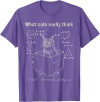 Cat In Box Math Humor T-Shirt Funny Logic Formulas Graphic Tee For Men Casual Trip S