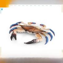 Jūros gyvūnų krabo replika vaikams mokytis Akvariumo dekoracija PVC Kolekcionuojamas Crab Green