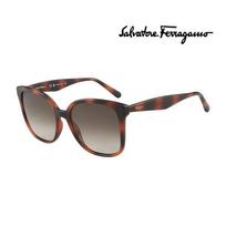 Sunglasses SF1072S 240 Square Horn-rimmed UV Protection Women Men SF1072S 240_I [56]