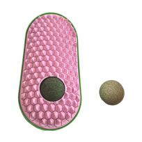 Catnip Self-Grooming Brush for Cats with Built-In Catnip Ball and Textured Surface for Scratching and Massaging One Size rožinė