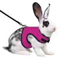 Mutil-Colors Pet Harness Breathable Pet Chest Strap Rabbit Harness and Leash Set  Outdoor Walking XL rožinė raudona spalva