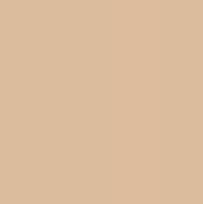 Beauty of Joseon Daily Tinted Sun Serum SPF50+ PA++++ 50ml Lightweight Tone Coverage LN110