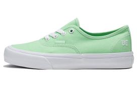 Vans Authentic Sunny Day Vr3 'Bright Green' VN0005UDBLZ 40.5