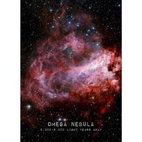 Butterfly Nebula The Andromeda Galaxy Veil Nebula Cosmos Learning Poster Canvas Painting Wall Art Picture for Room Home Decor 30x45cm No Frame