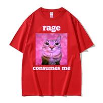 Ironic Meme Cat Rage Consumes Me T-shirts Unisex Women Clothing Funny Vintage Classic Short Sleeve T-shirt Casual Oversized T Shirt 4XL