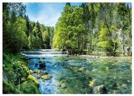 Fototapeta Wodospad 3D Las Natura Krajobraz Salon Tapeta Na Ścianę 400X280