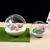 Decorative Bauble Glass Terrarium For Weddings For Christmas 20cm Decorative Succulent Container Open Mouth Design 13.5cm
