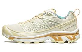 SALOMON XT 6 Expanse Cottage Core 'Cream White' 44.5