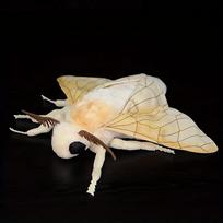 Cute Insect Silkworm Moth Plush Toys Luna Moth Plush Toy Lifelike Hyalophora Cecropia Insect Enthusiasts Kids Christmas Gifts 23cm