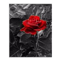 5D PASIDARYK PATS Deimantinė tapyba Ed Rose Deimantinė siuvinėjimas Kryželiu Namų dekoras Rankų darbo dovanos Round 20x30cm