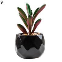 Dirbtinių augalų daugkartinio naudojimo tikroviški PVC šviežiai išlaikomi lengvai prižiūrimi dirbtiniai sukulentai bonsai 9