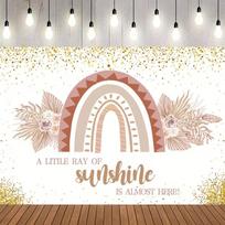 2D Flat Neutral Boho Baby Shower Backdrop with Blush Rainbow and Floral Pampas 47.2x31.5inch/120*80cm