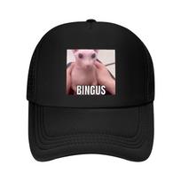 Bingus Baseball Cap Unique hats Unisexs big size hat F black For Unisex Womens