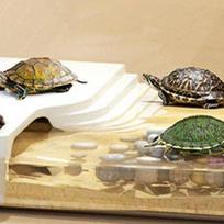 Small turtle tank Transparent Turtle Terrarium Small Tortoise Breeding Box pet reptile habitat office desktop landscaping CN