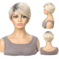 Women’s Short Side-Part Synthetic Wig in Light Brown & Gray Shades with High-Temp Resistant Fibers & Rose Net Cap for Daily & Party Wear 10inch