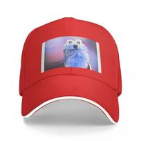 Screaming Blue Thing Baseball Cap New In Hat New Hat Womens Beach Unisexs