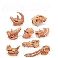 Trex Skull Replica Pvc Fossil Model For Museum Display And Collection StyleB