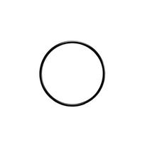 2026 59000600 Bulkhead O-Ring For FNS Plus Pool Filter, Durable=Seal Replacement Part For Spa Center, Easy Install Leak Proof Ga