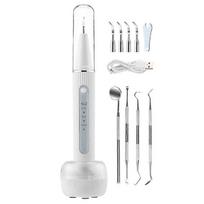 Electric Tooth Polisher Ultrasonic Tooth Scaler Oral Irrigator Calculus Remover Scaling Remover Teeth Whitening Kit