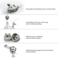 DIY CO2 Generator System Kit with Pressure Guage Air Flow Adjustment Vavle Water Plant Aquarium Accessory Necessity