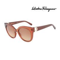 [Salvatore Ferragamo] Sunglasses SF1031S 261 Round Horn-rimmed UV Protection Women's SF1031S 261_I [53]