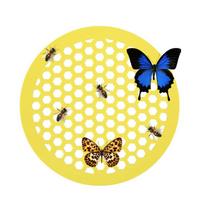 Floating Bee Island Bee Waterer Floating Station Island Waterer Island Honeycomb Feeder Bee Drinker Island Tray for Garden China Mainland