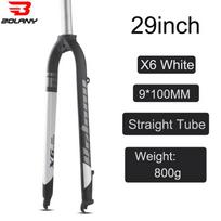 Bolany Bike Rigid Fork 26/27.5/29inch Disc Brake Mountain Fork Straight Tube 28.6MM Matte Lightweight MTB Bicycle Fork 29 White