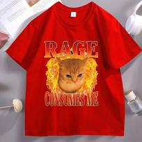 Funny Cat Meme T Shirt Rage Consumes Me TShirt for Unisexs Womens Angry Cat Kitten Graphic Tee Casaul Crewneck Short Sleeve S