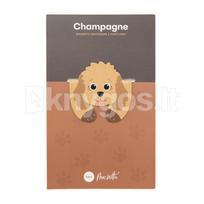 Magnetinis knygos skirtukas „Champagne“