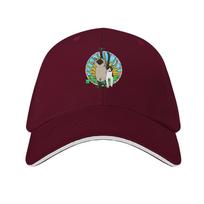 Cats from the sun Baseball Cap Custom Cap foam party Hat hard hat Luxury Hat Women's Golf Clothing Unisex's